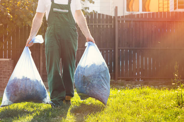 Best Electronics and E-Waste Disposal  in Clara City, MN
