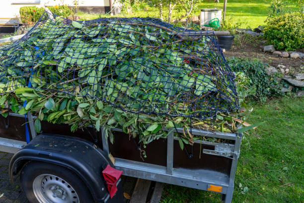 Best Scrap Metal Removal  in Clara City, MN